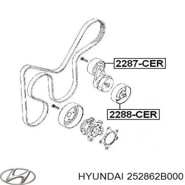 Купити 252862B000 Hyundai/Kia Ролик приводного ременя, паразитний