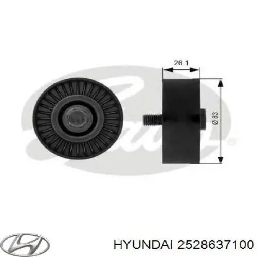 Купити 2528637100 Hyundai/Kia Ролик приводного ременя, паразитний