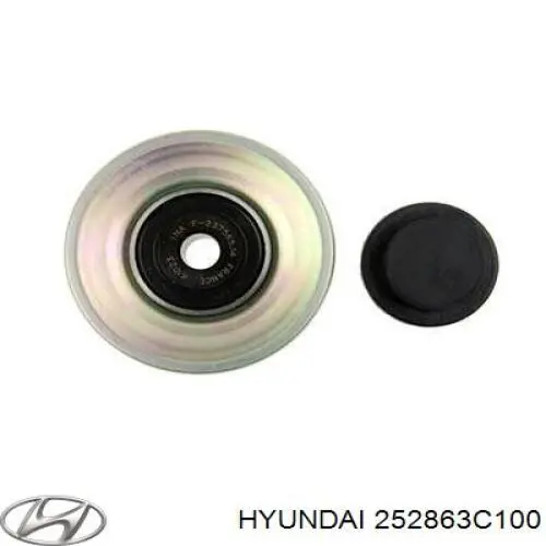 252863C100 Hyundai/Kia ролик приводного ременя, паразитний