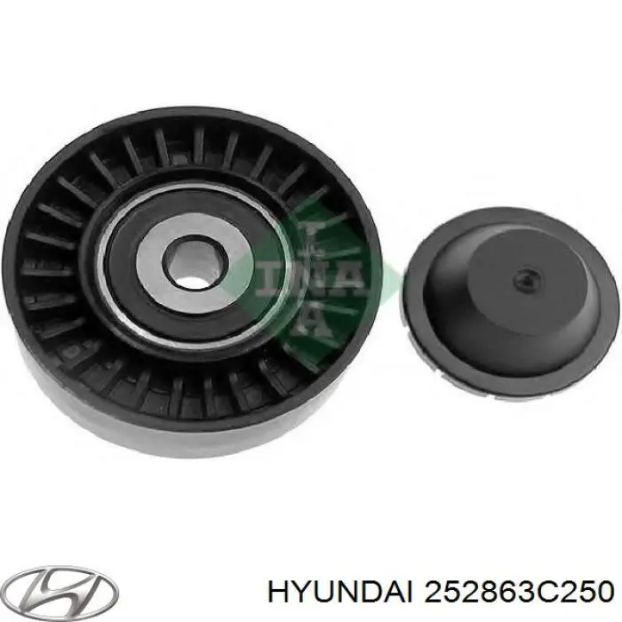 252863C250 Hyundai/Kia ролик приводного ременя, паразитний
