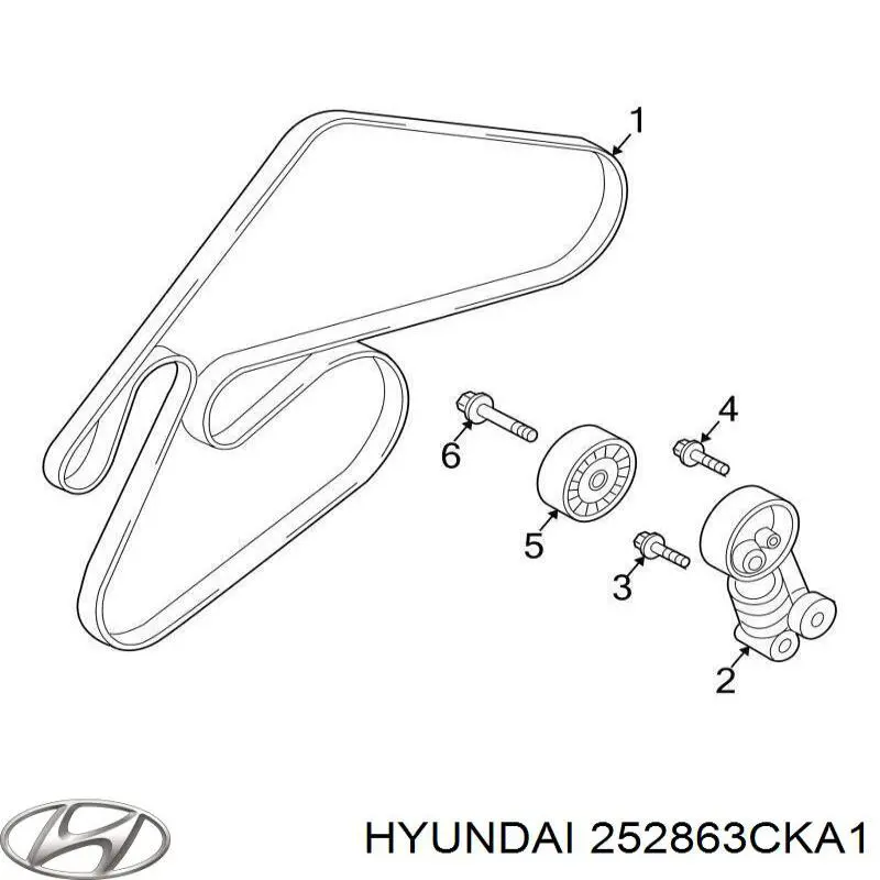  Hyundai/Kia 252863CKA1 ціна, від 25.00 USD