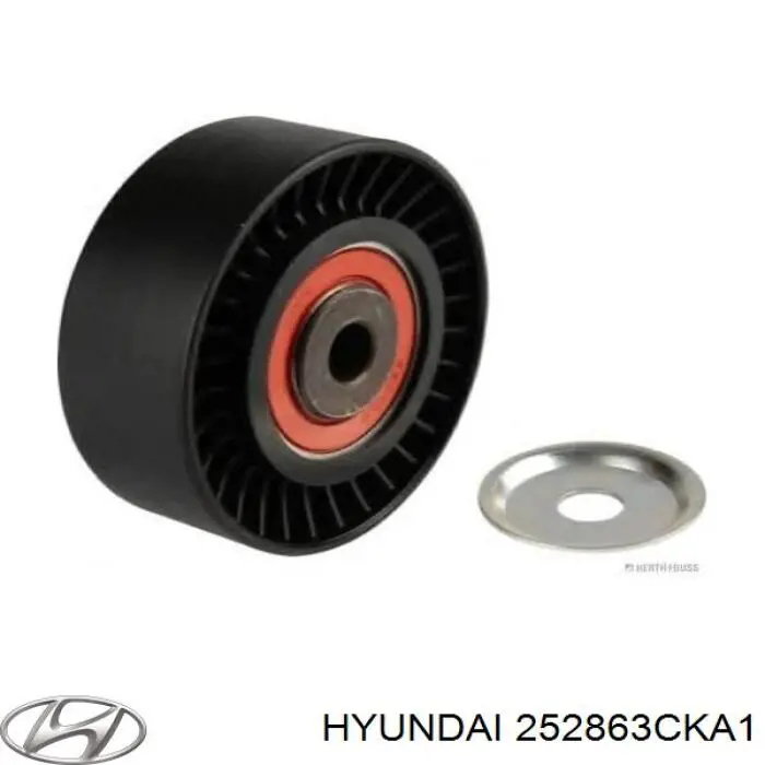  252863CKA1 Hyundai/Kia