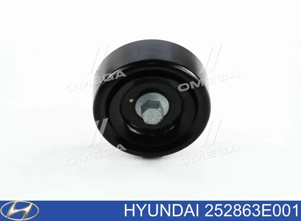 Купити 252863E001 Hyundai/Kia Ролик приводного ременя, паразитний
