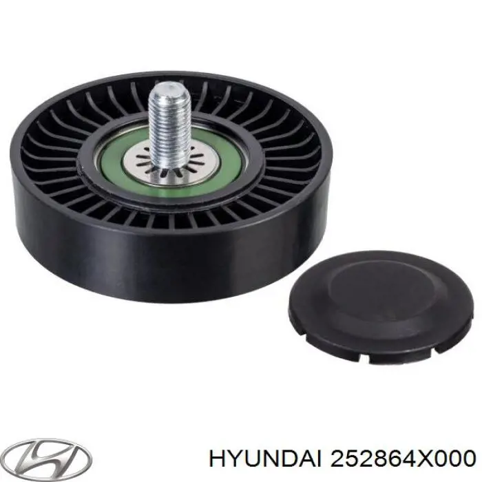 252864X000 Hyundai/Kia Ролик приводного ременя, паразитний