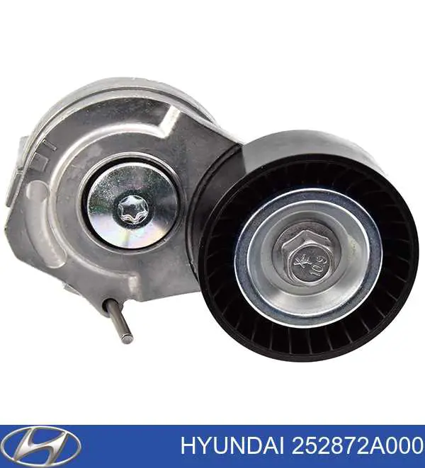 Купити 252872A000 Hyundai/Kia Ролик приводного ременя, паразитний