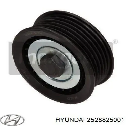 Купити 2528825001 Hyundai/Kia Ролик приводного ременя, паразитний