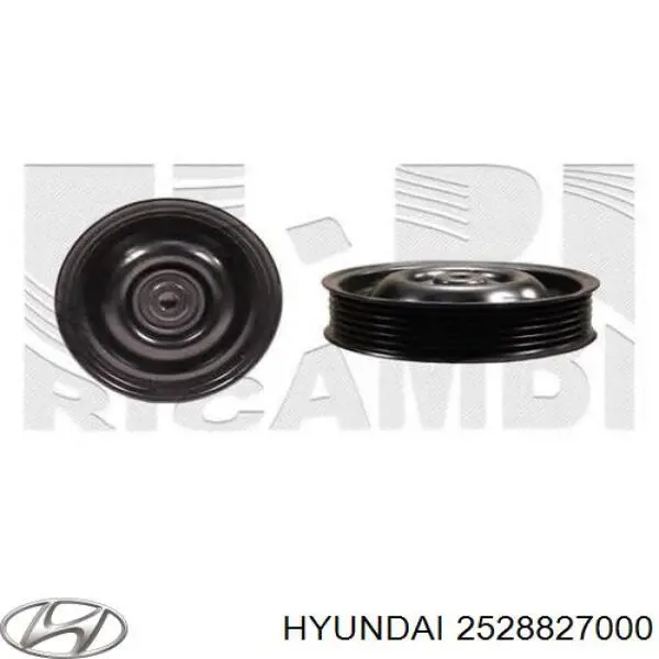 2528827000 Hyundai/Kia ролик приводного ременя, паразитний