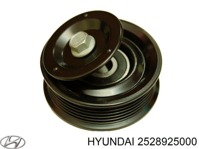 2528925000 Hyundai/Kia Ролик приводного ременя, паразитний