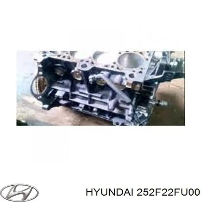  252F22FU00 Hyundai/Kia