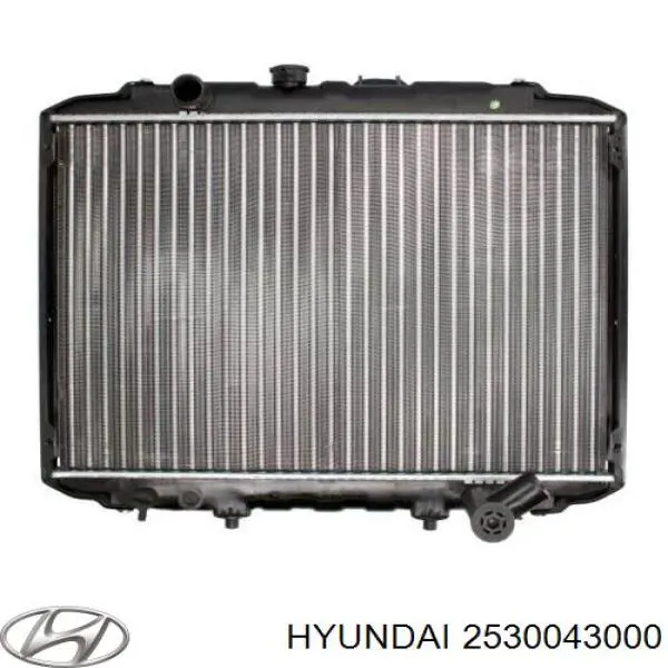 Радіатор основний Hyundai/Kia 2530043000 ціна, від 102.15 USD