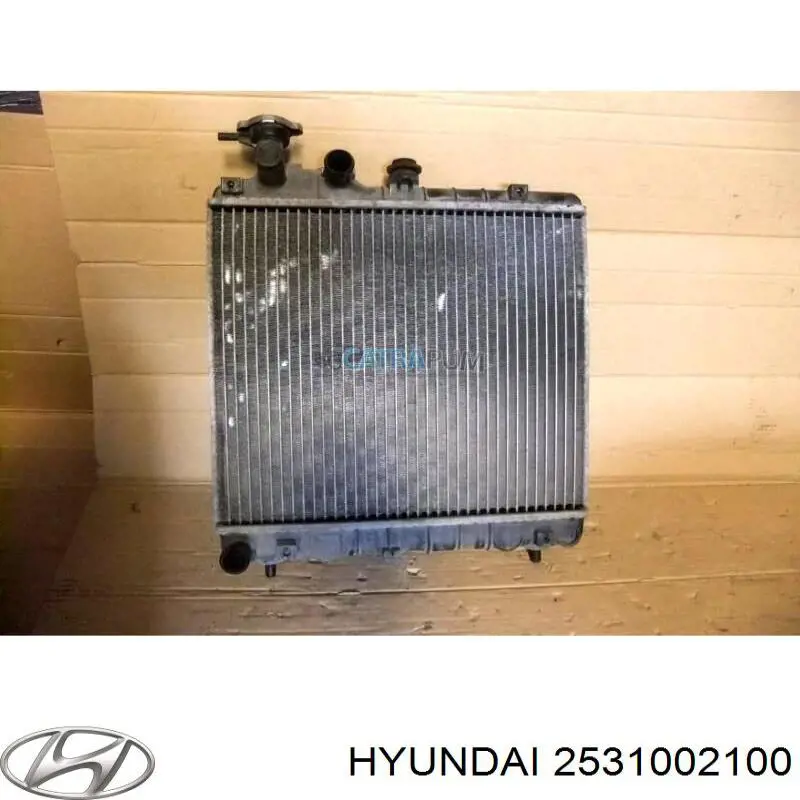 Купити 2531002100 Hyundai/Kia Радіатор двигуна