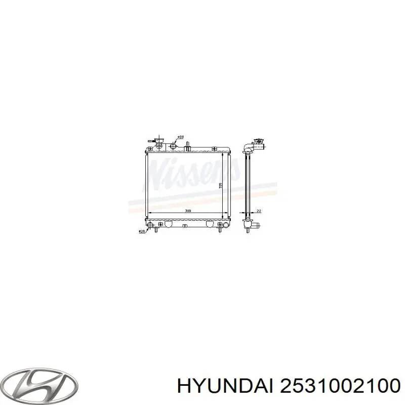 2531002000 Hyundai/Kia Радіатор охолодження двигуна