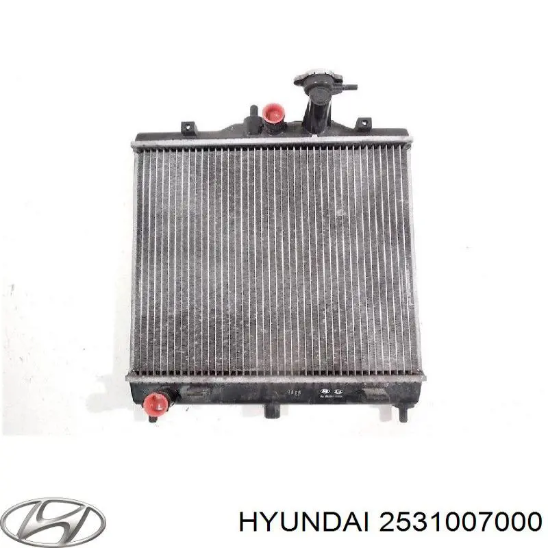 2531007000 Hyundai/Kia радіатор охолодження двигуна