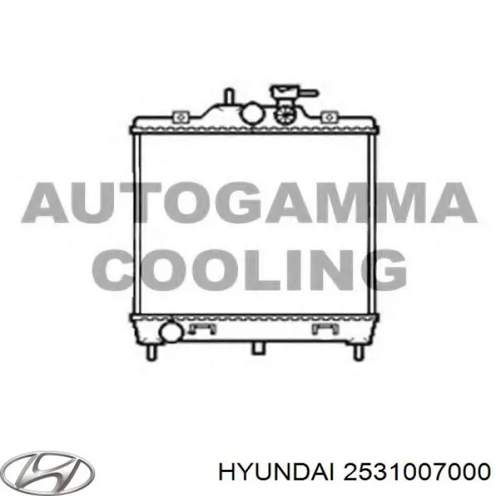 Купити 2531007000 Hyundai/Kia Радіатор двигуна