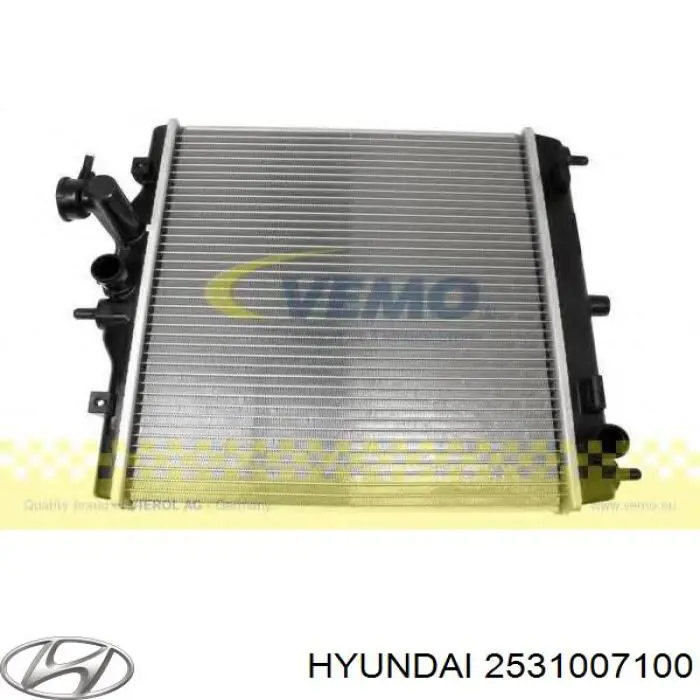 2531007111 Hyundai/Kia радіатор охолодження двигуна