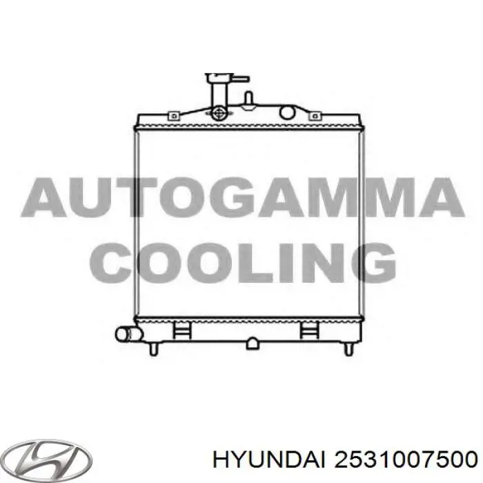 Радіатор основний Hyundai/Kia 2531007500 ціна, від 42.75 USD