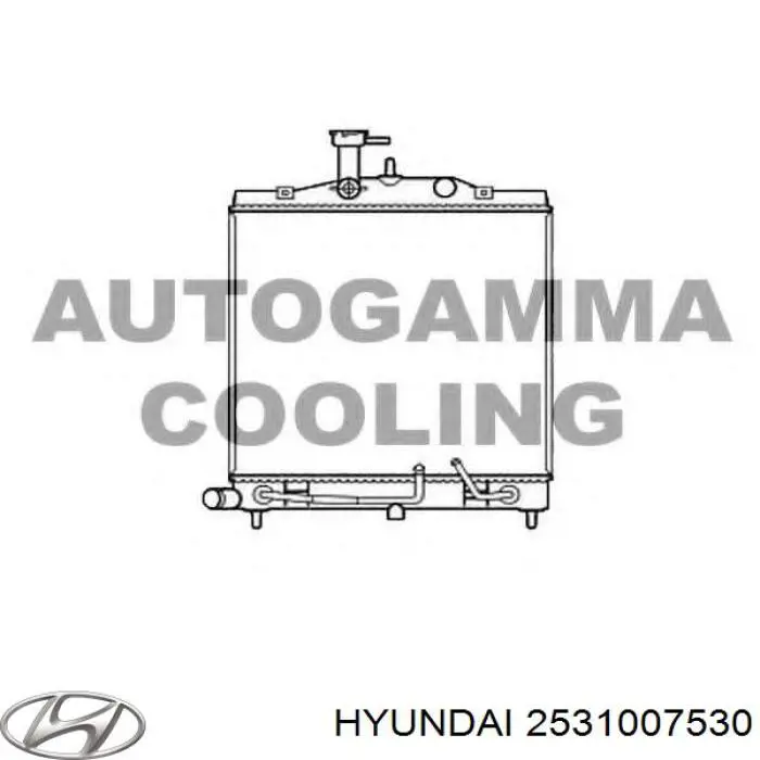 2531007530 Hyundai/Kia 
