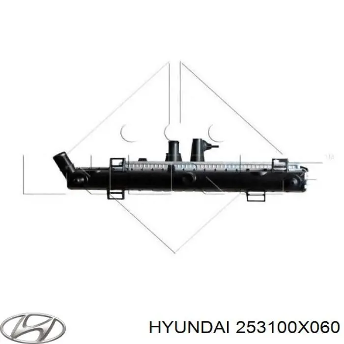 253100X060 Hyundai/Kia Радіатор охолодження двигуна