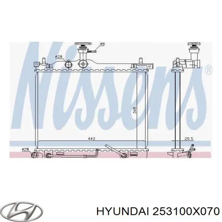 253100X070 Hyundai/Kia Радіатор охолодження двигуна