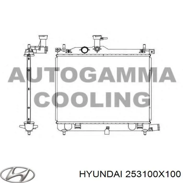 Купити 253100X100 Hyundai/Kia Радіатор двигуна