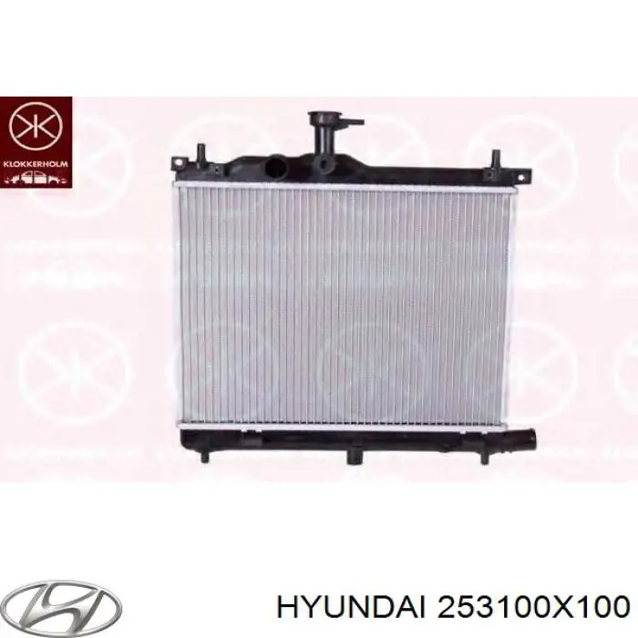 253100X100 Hyundai/Kia Радіатор охолодження двигуна