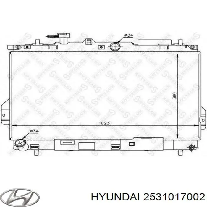 2531017002 Hyundai/Kia радіатор охолодження двигуна