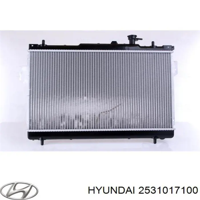 2531017100 Hyundai/Kia радіатор охолодження двигуна