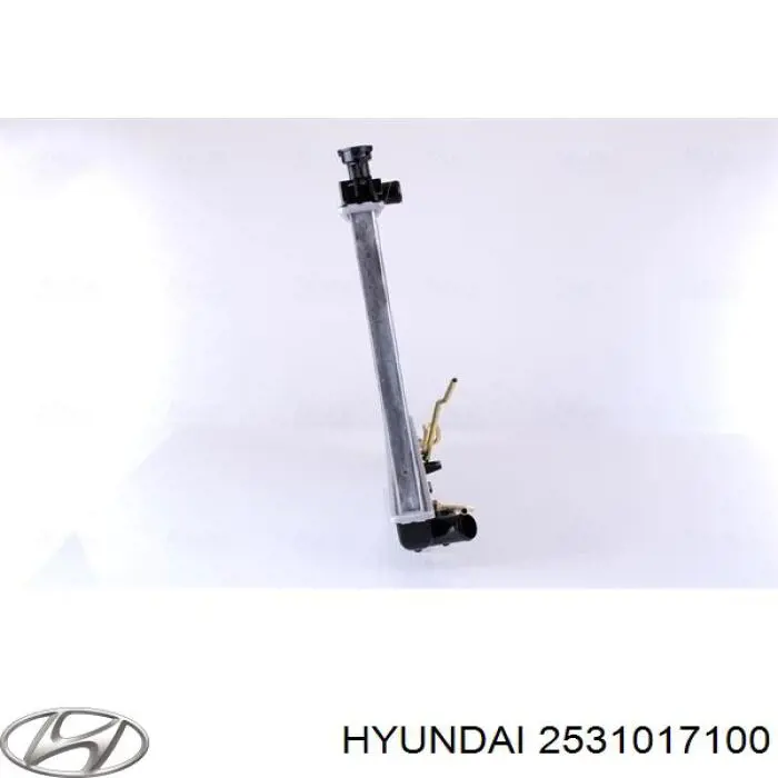 2531017100 Hyundai/Kia Радіатор охолодження двигуна