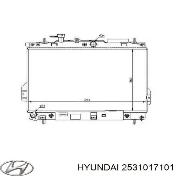 2531017101 Hyundai/Kia Радіатор охолодження двигуна