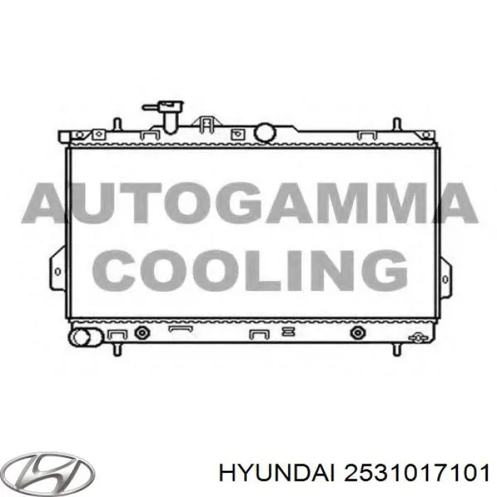 2531017101 Hyundai/Kia радіатор охолодження двигуна