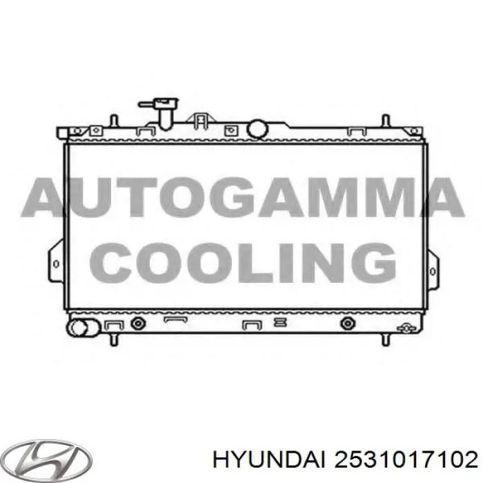 2531017102 Hyundai/Kia Радіатор охолодження двигуна