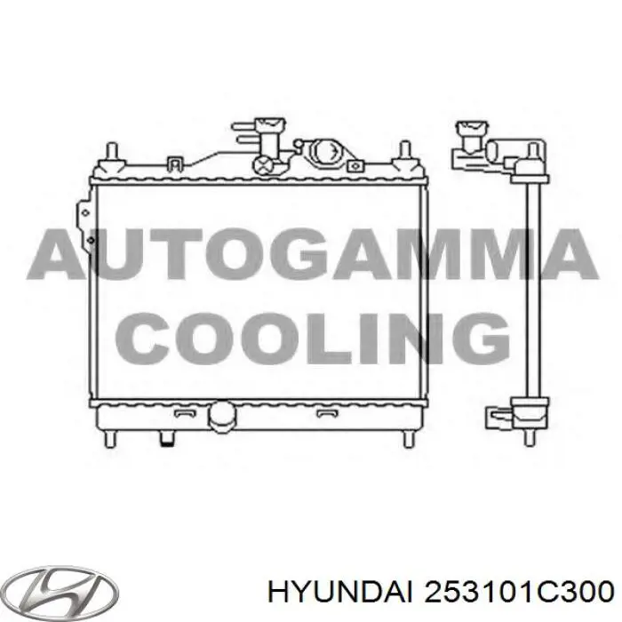253101C300 Hyundai/Kia радіатор охолодження двигуна