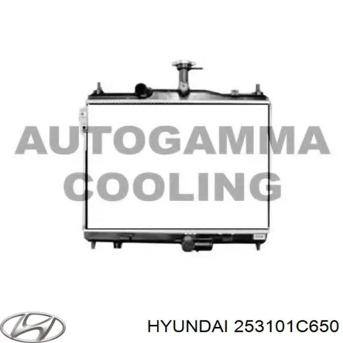 253101C650 Hyundai/Kia Радіатор охолодження двигуна