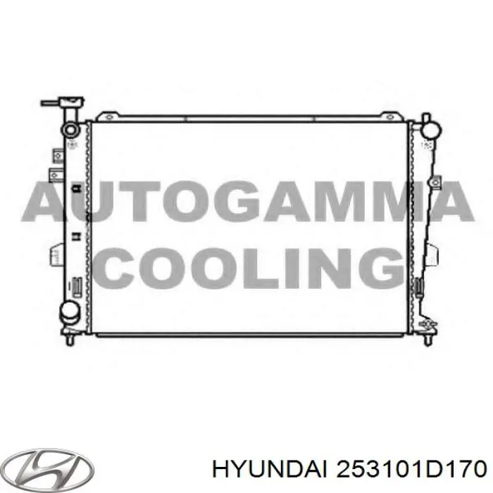 Радіатор 253101D170 Hyundai/Kia