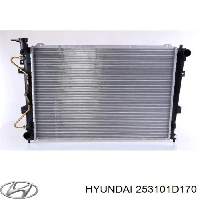 253101D170 Hyundai/Kia Радіатор охолодження двигуна