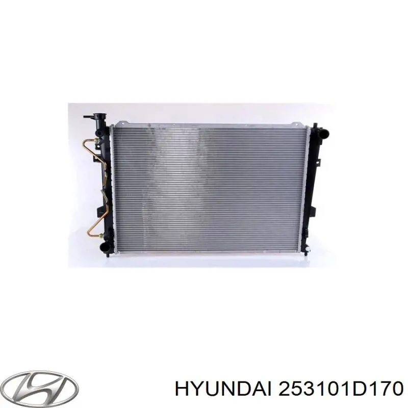Радіатор основний Hyundai/Kia 253101D170 ціна, від 56.50 USD