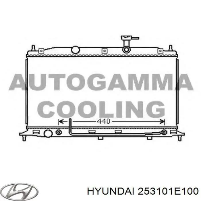 253101E100 Hyundai/Kia Радіатор охолодження двигуна