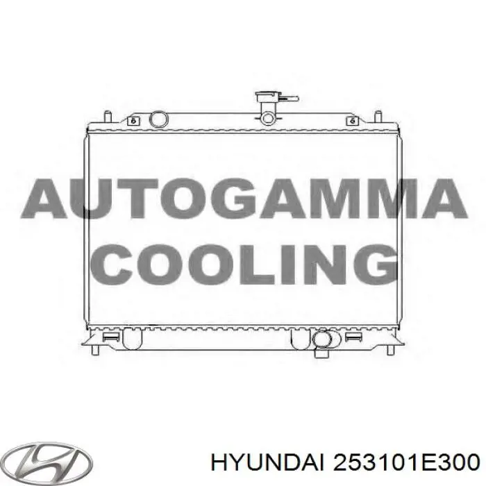 253101E300 Hyundai/Kia радіатор охолодження двигуна