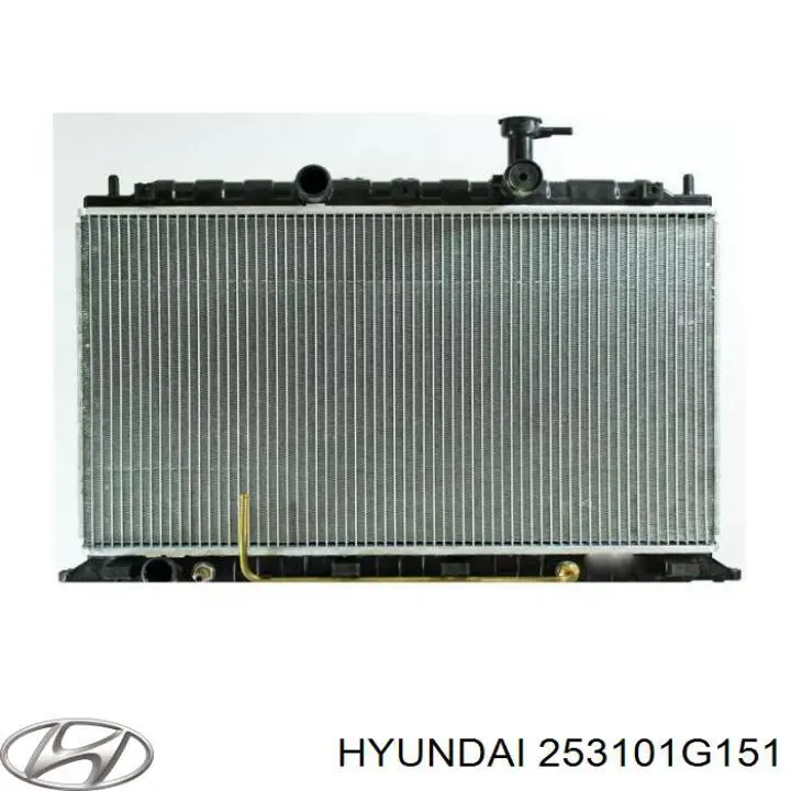 Радіатор 253101G151 Hyundai/Kia