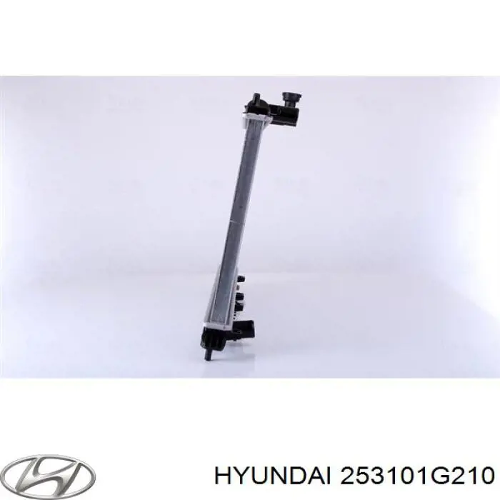 Радіатор 253101G210 Hyundai/Kia
