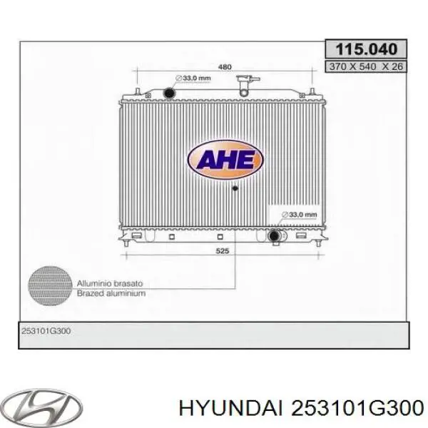 253101G300 Hyundai/Kia Радіатор охолодження двигуна