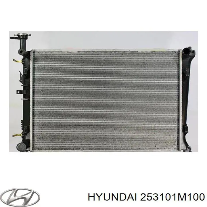 Радіатор основний Hyundai/Kia 253101M100 ціна, від 74.81 USD