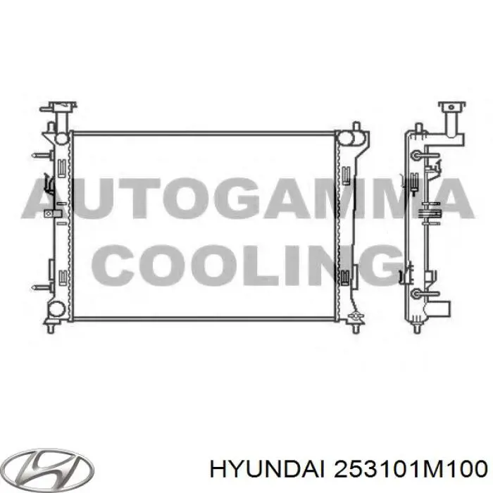 Радіатор 253101M100 Hyundai/Kia