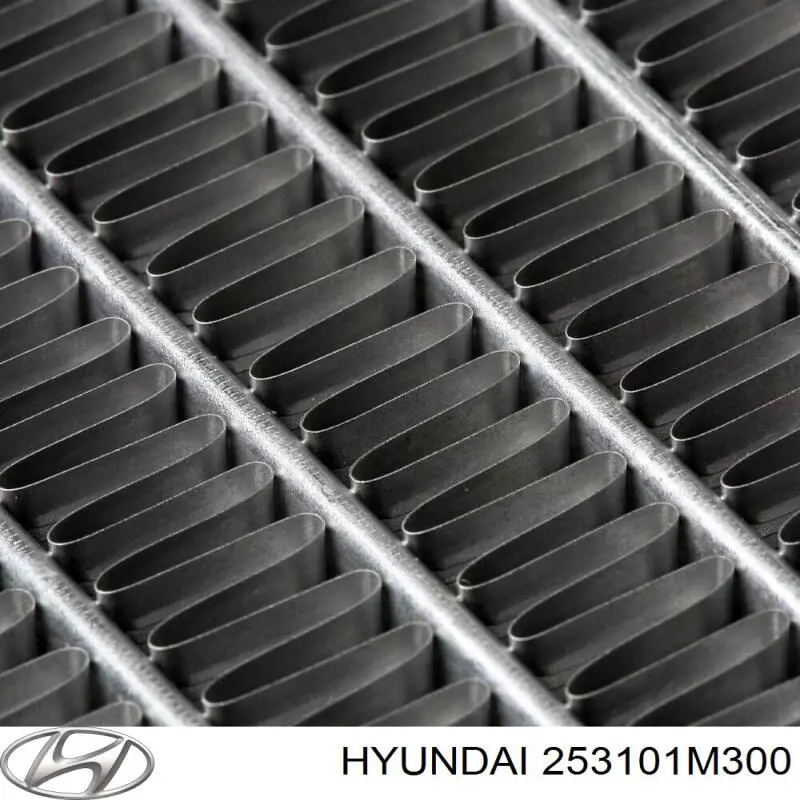 Радіатор 253101M350 Hyundai/Kia