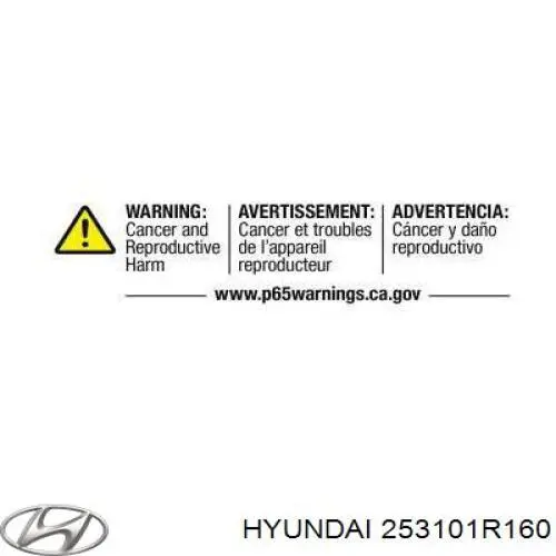 253101R160 Hyundai/Kia Радіатор охолодження двигуна