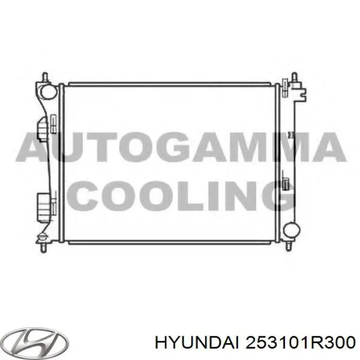 253101R300 Hyundai/Kia Радіатор охолодження двигуна
