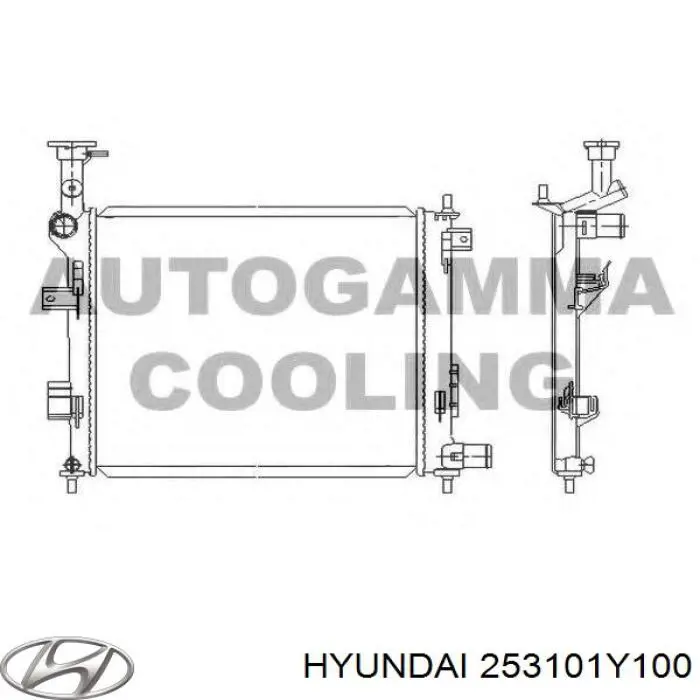 Радіатор основний Hyundai/Kia 253101Y100 ціна, від 45.81 USD