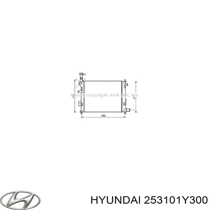 253101Y300 Hyundai/Kia радіатор охолодження двигуна