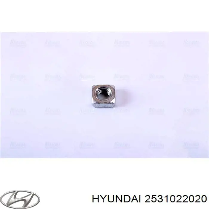 Радіатор 2531022020 Hyundai/Kia