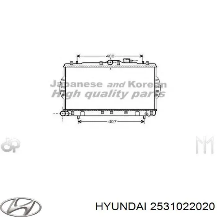 2531022020 Hyundai/Kia радіатор охолодження двигуна